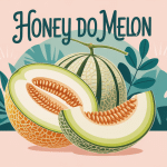 honey do melon coupe et chair verte aspect juteux