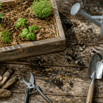 jardinier facile outils potager carré