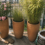 que planter dans un pot haut et étroit trois exemples balcon